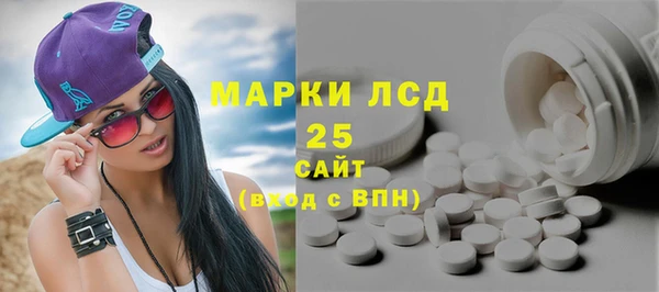 ПСИЛОЦИБИНОВЫЕ ГРИБЫ Заволжье