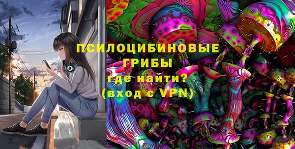 дмт Алексин