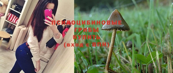 трава Алзамай