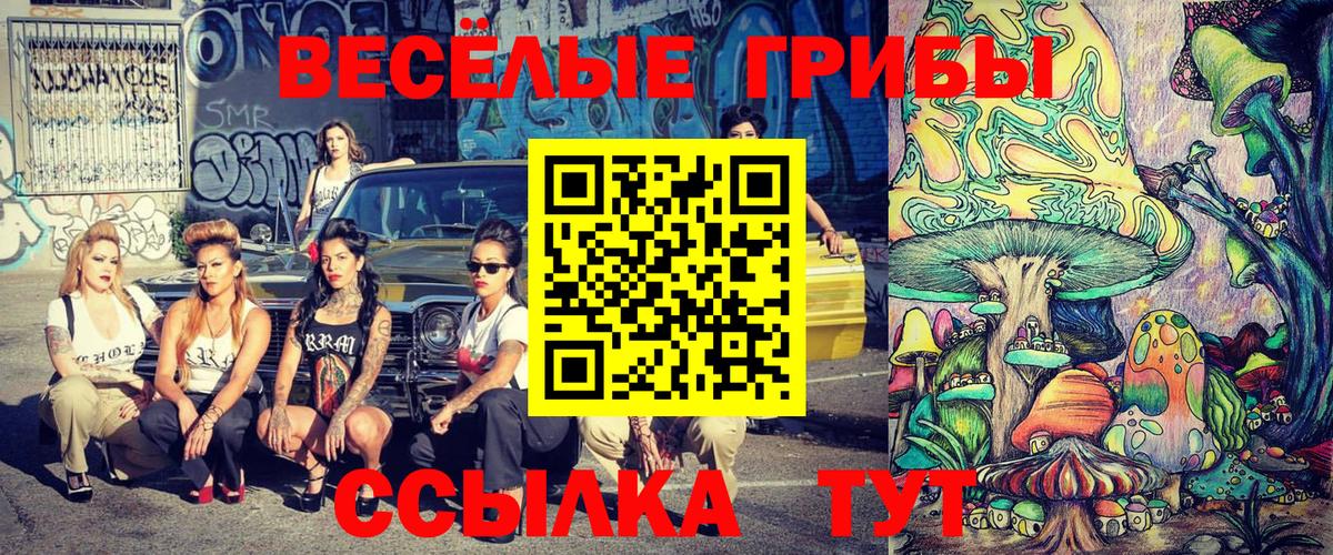 Галлюциногенные грибы Psilocybe  хочу   Шадринск  Галлюциногенные грибы MAGIC MUSHROOMS  Вход с VPN 
